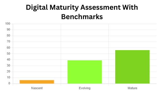 Digital Maturity Assessment With Benchmarks