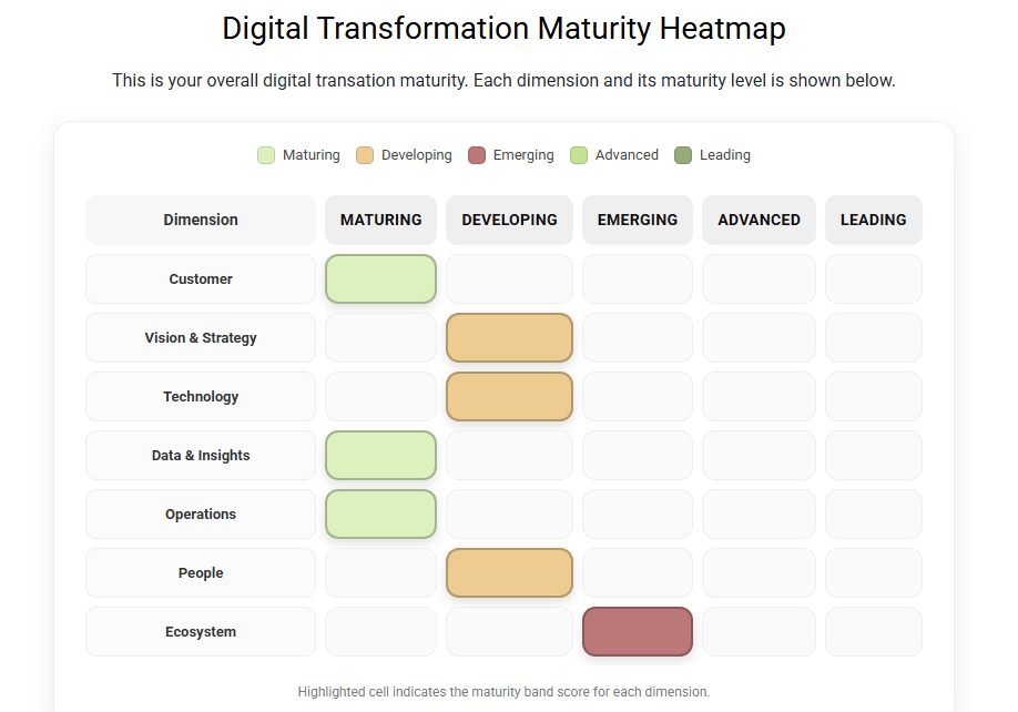 digital maturity model heatmap