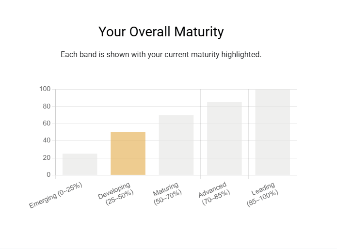 digital maturity model overall