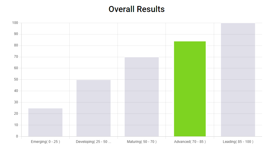 digital-maturity-results