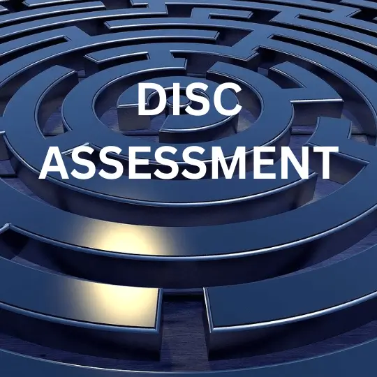 disc-assessment